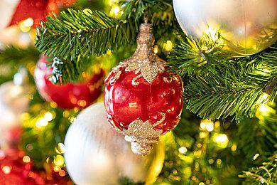 狗好，人也好！《过木不汪》5月30日登陆NS，首发9折优惠，支持简体中文